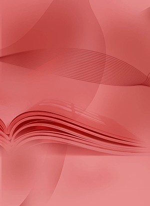 BITBOOK.de - Kn&uuml;ddelzettel